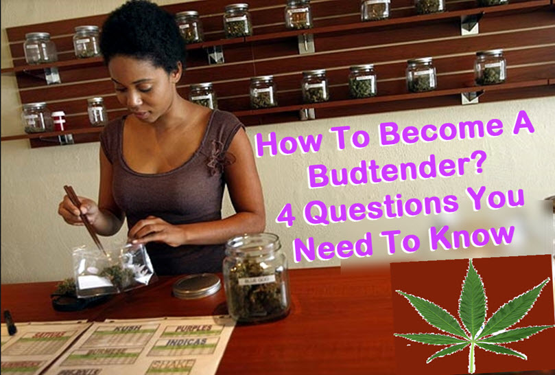HOW TO BECOME A BUDTENDER